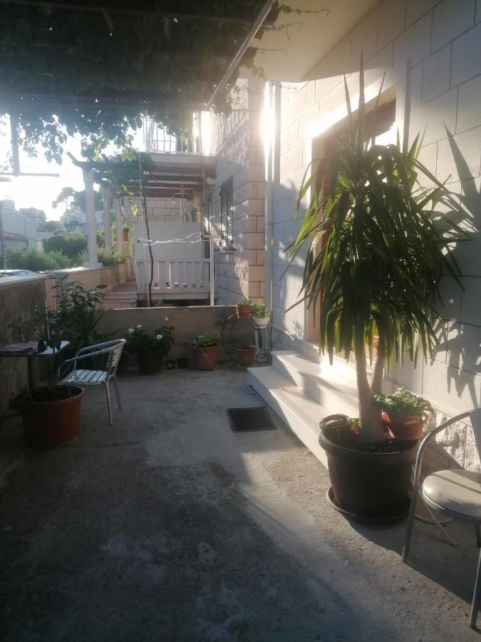 Ramy דוברובניק מראה חיצוני תמונה
